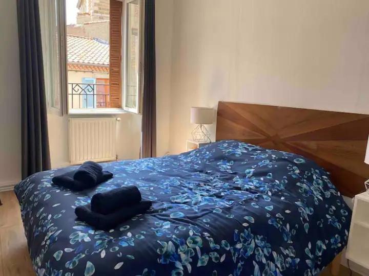 Cosy - 72m2 - Hyper Centre - Equipe Langeac
